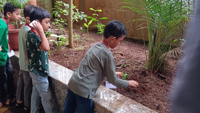 Tree Plantation Day 2023