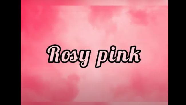 Pre Primary Rosy Pink Dressing Day Celebration | Saraswati School Rabodi in Thane